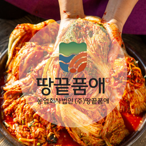 100% 국내산 땅끝품애  해남 배추김치 5kg